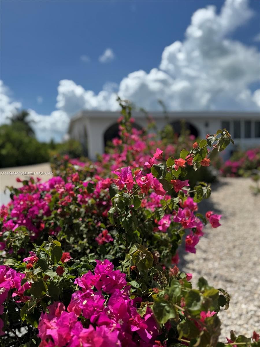 1301 Grouper Dr A photo 13