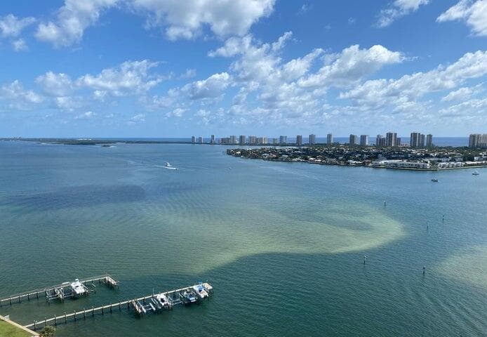 2650 Lake Shore Drive 2203 photo 3