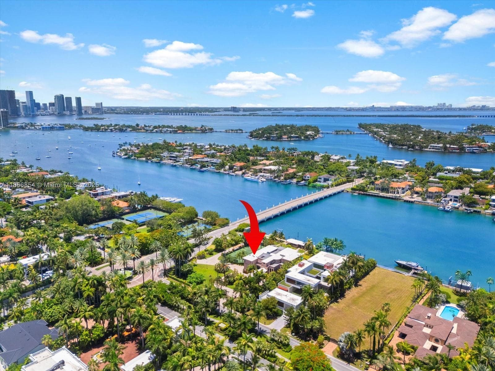 145 Palm Ave photo 8