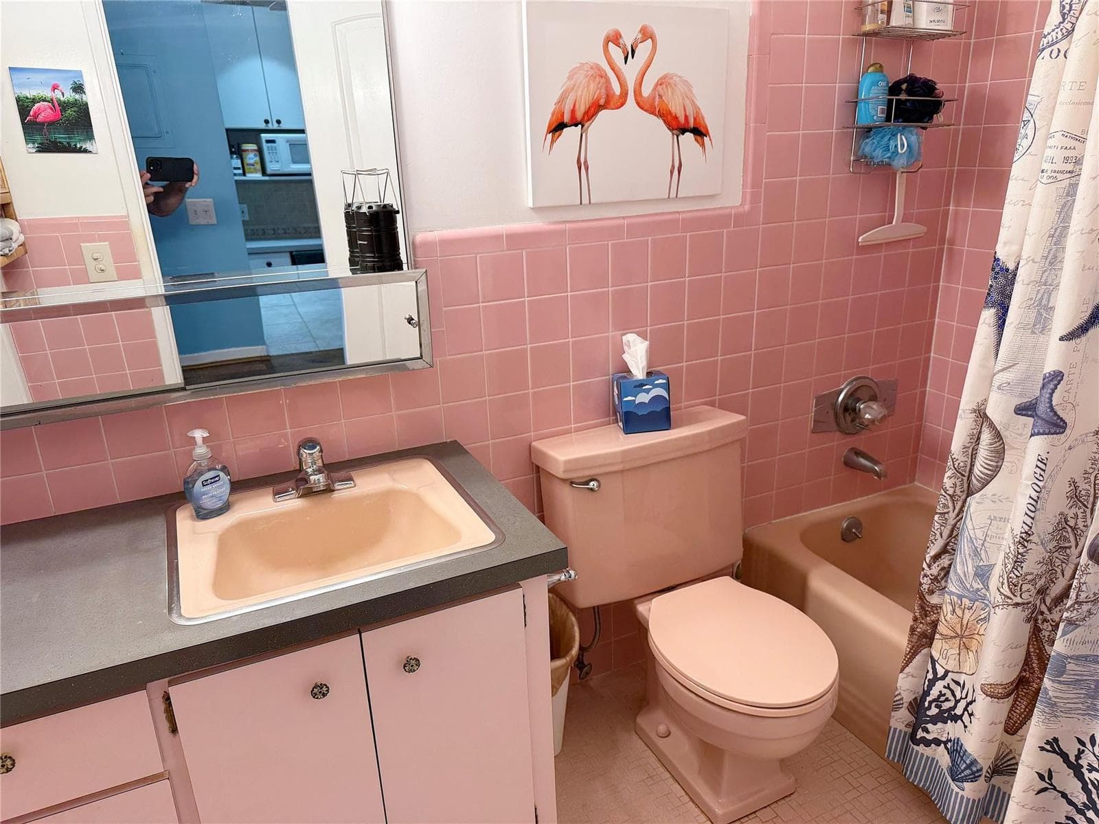 1105 S Riverside Drive 205 photo 17