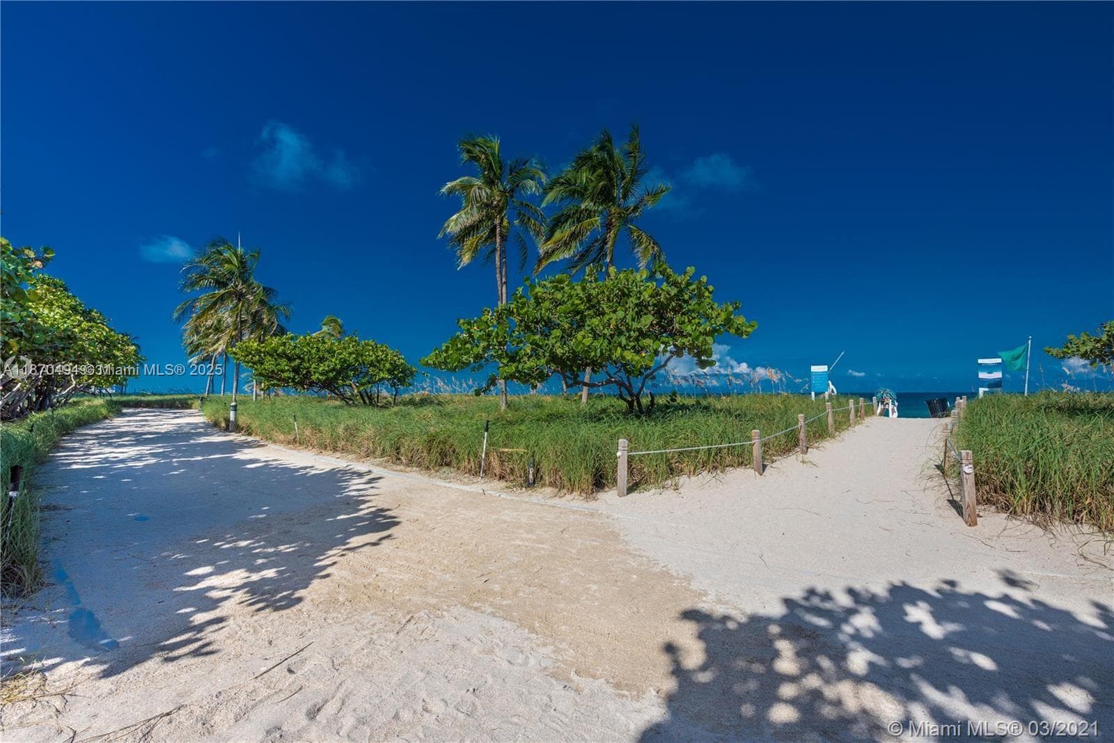 10185 Collins Ave 319 photo 23