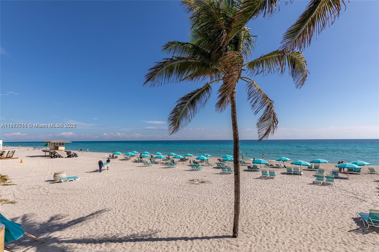 2501 S Ocean Dr 1418 photo 4
