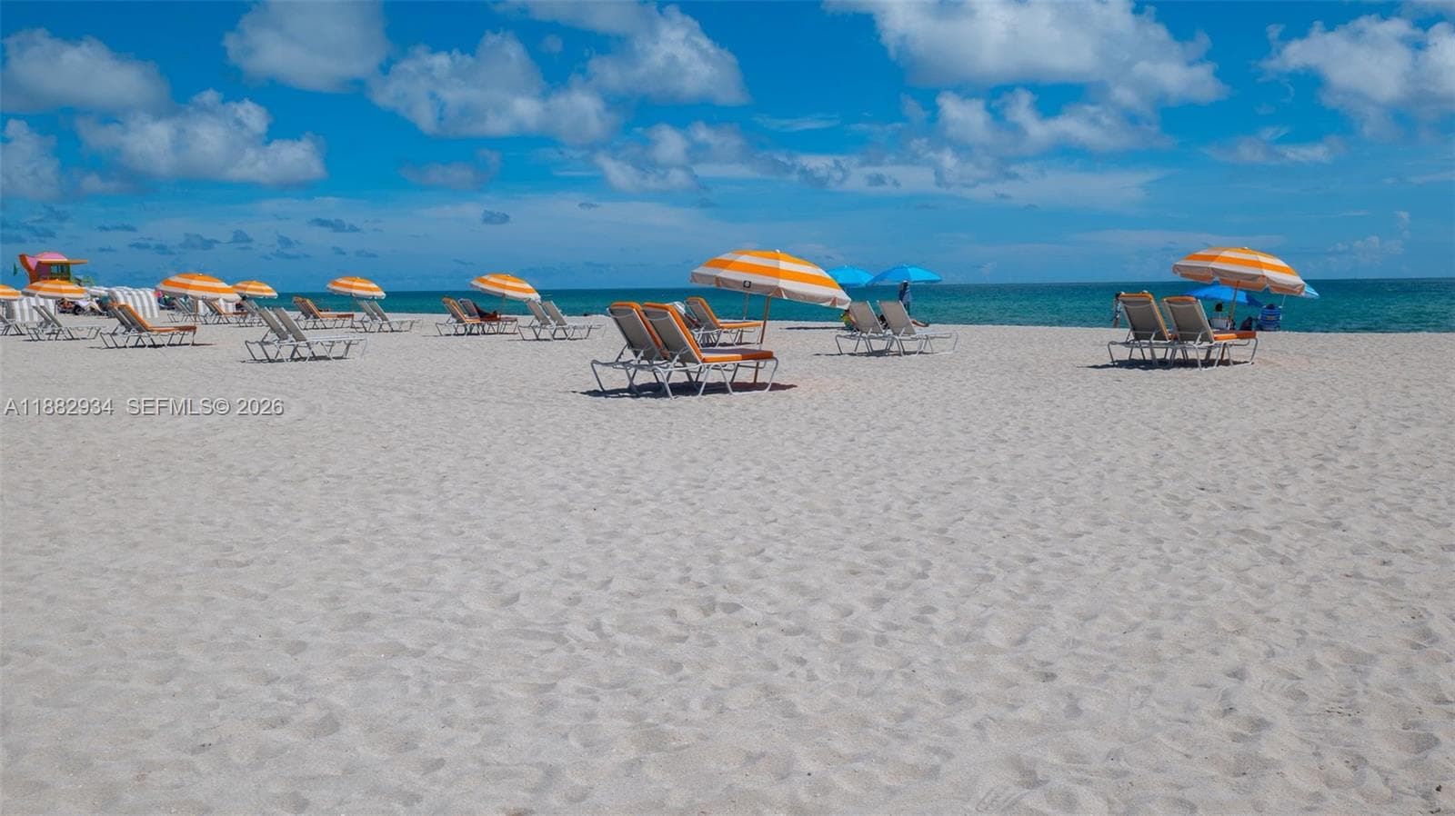 1455 Ocean Dr 811 photo 24