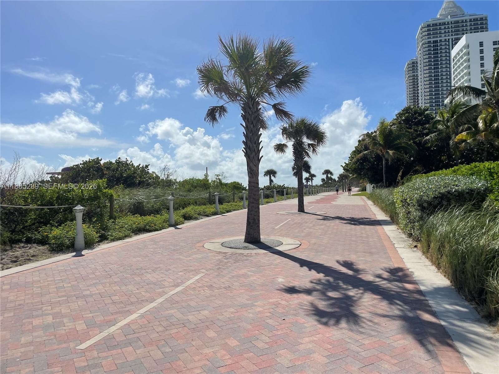 5005 Collins Ave 523 photo 22