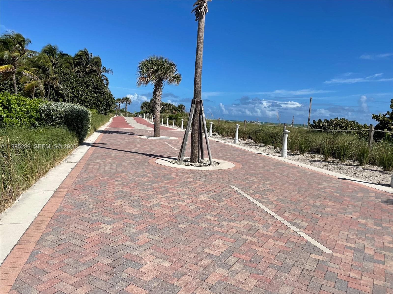 5005 Collins Ave 523 photo 14