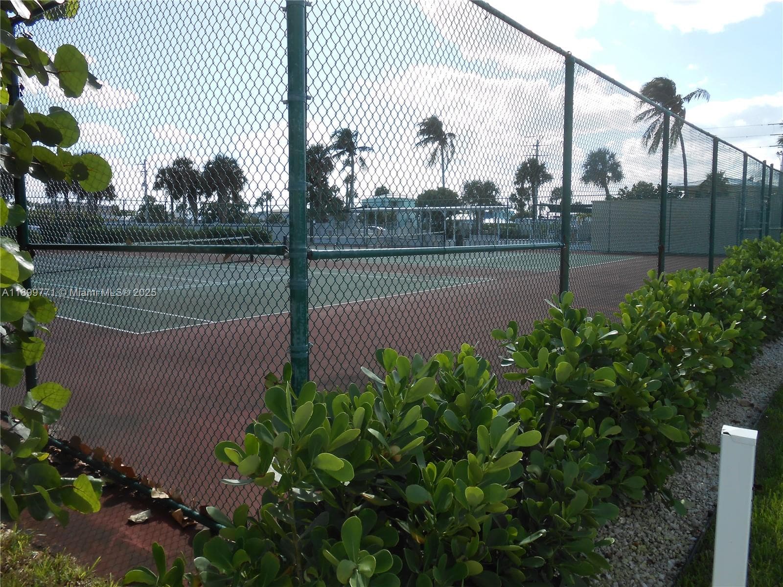 106 photo 12