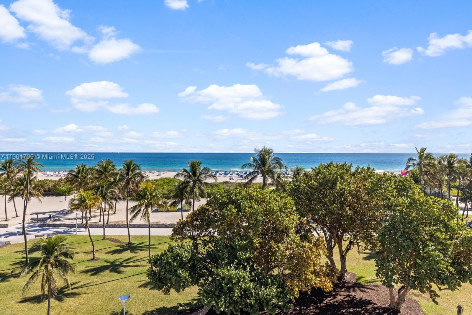 1024 Ocean Dr A301 photo 1