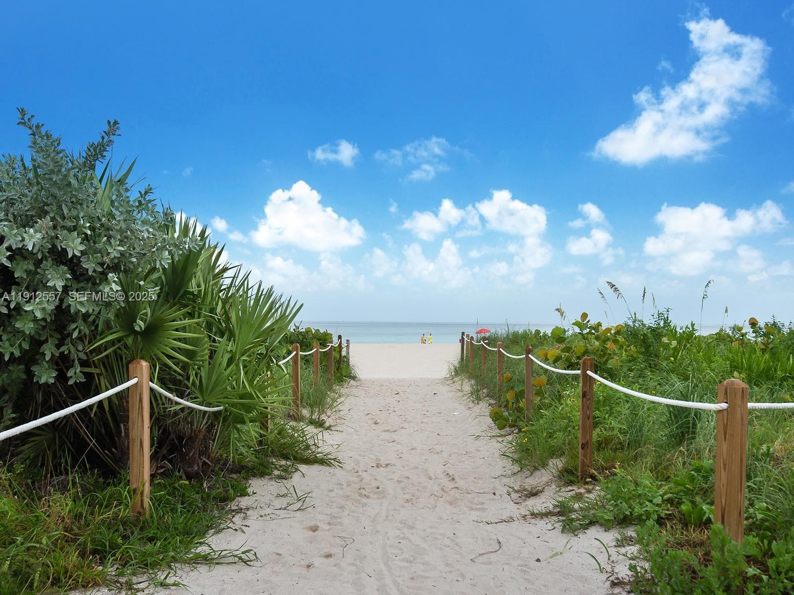 335 Ocean Dr 328 photo 11