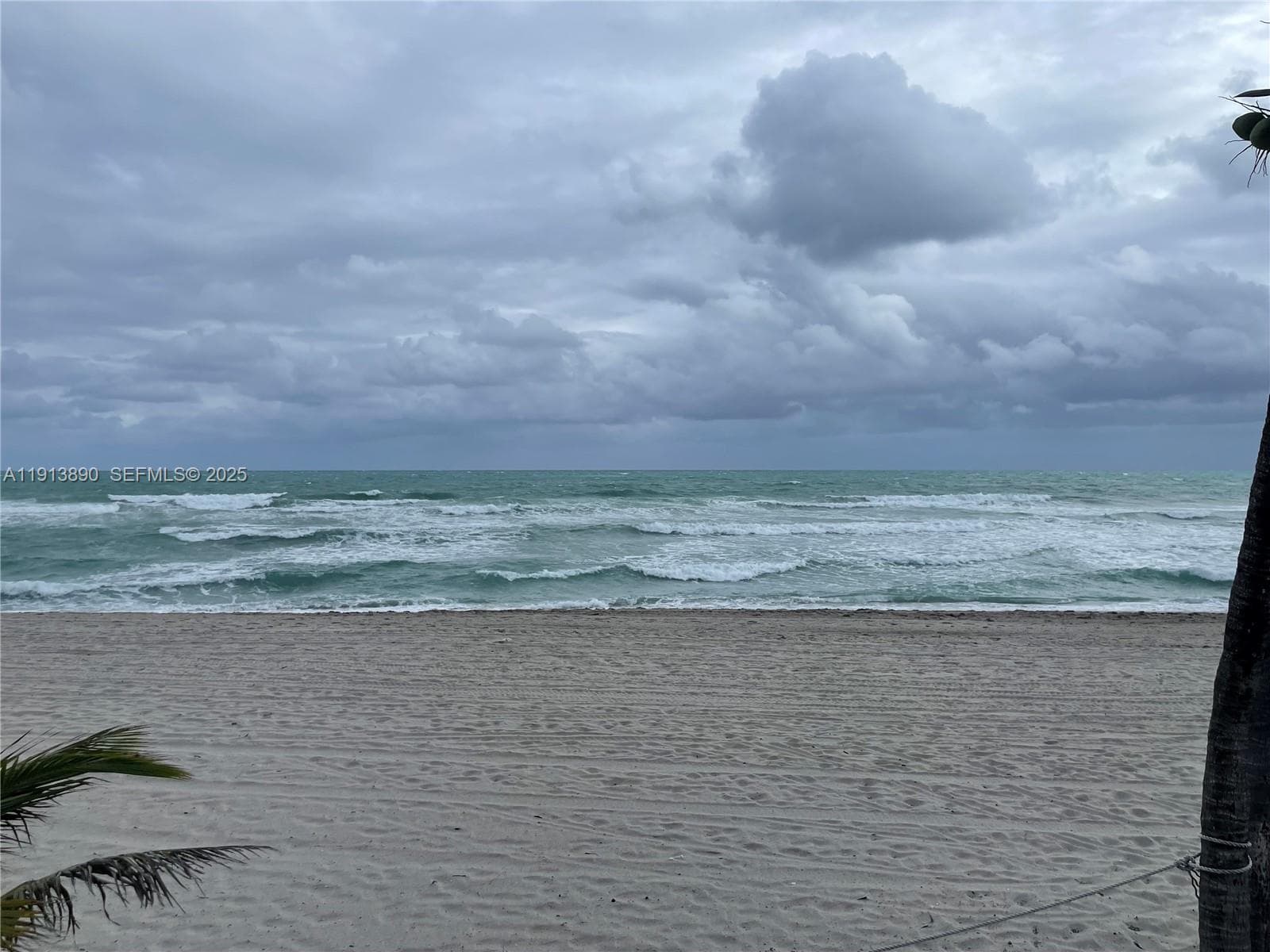 3801 S Ocean Dr 11T photo 6