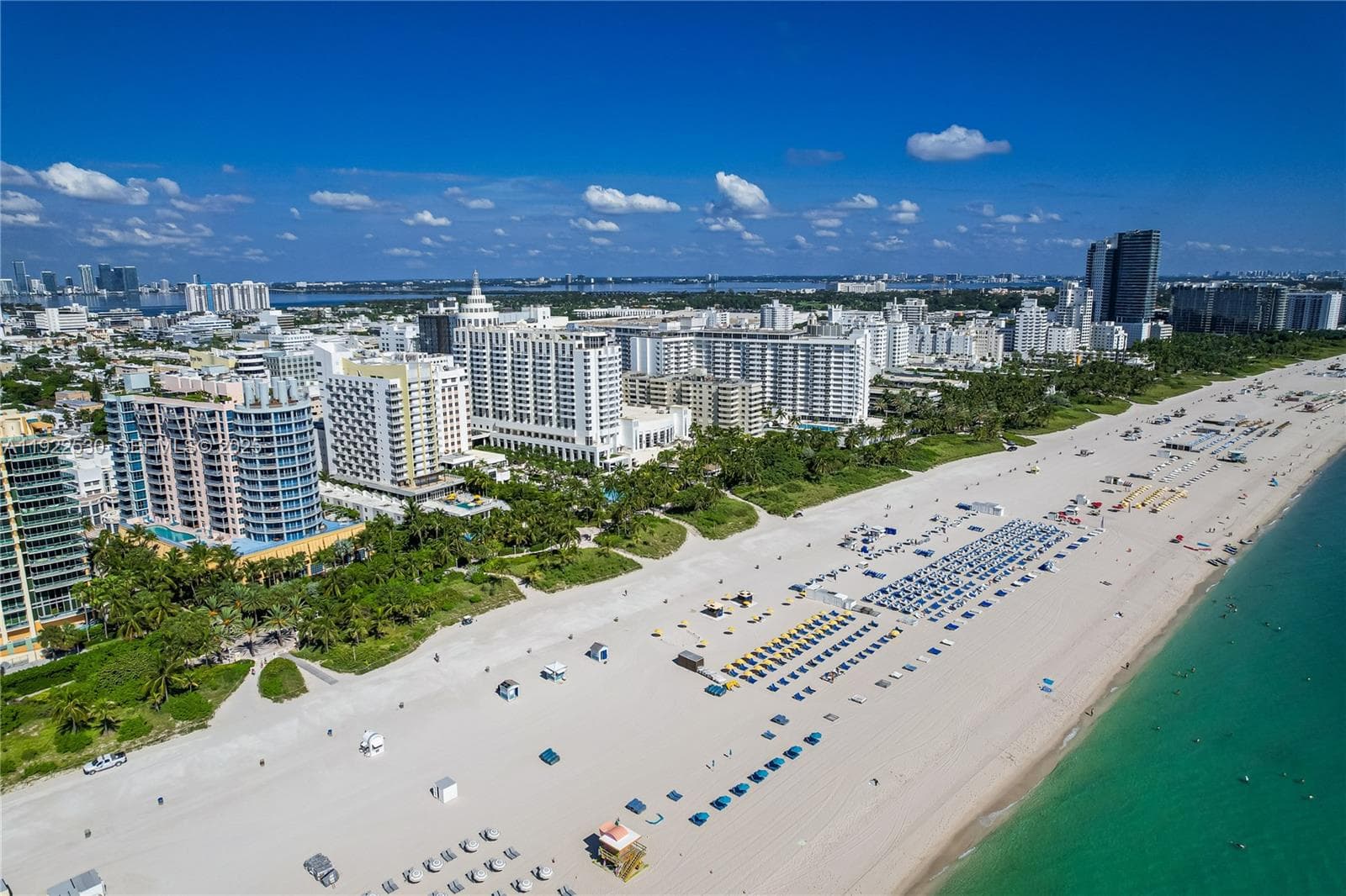1500 Ocean Dr 907 photo 24