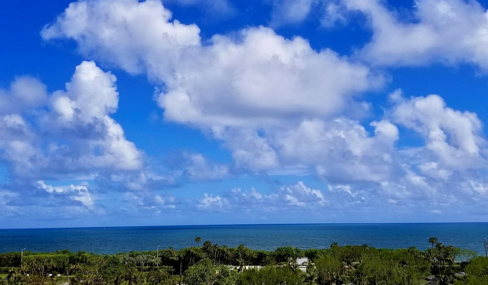4101 N Ocean Boulevard 703 photo 6