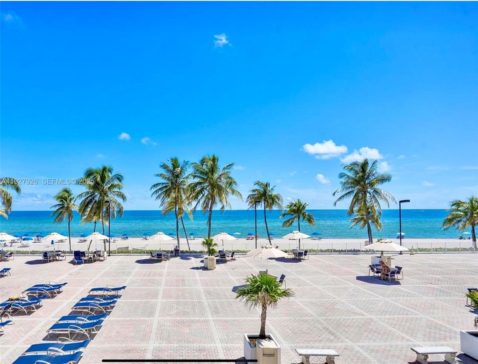 2401 S Ocean Dr 1007 photo 4