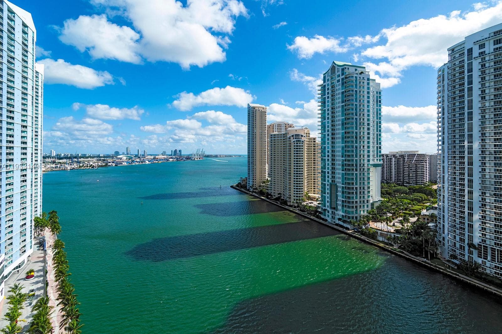300 Biscayne Blvd Way 1901 photo 8