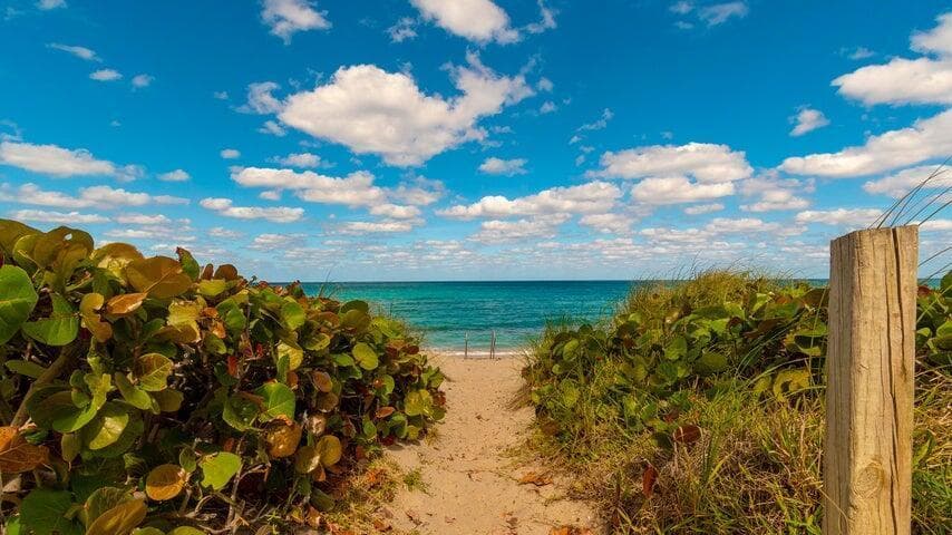 5480 N Ocean Drive B1a photo 16