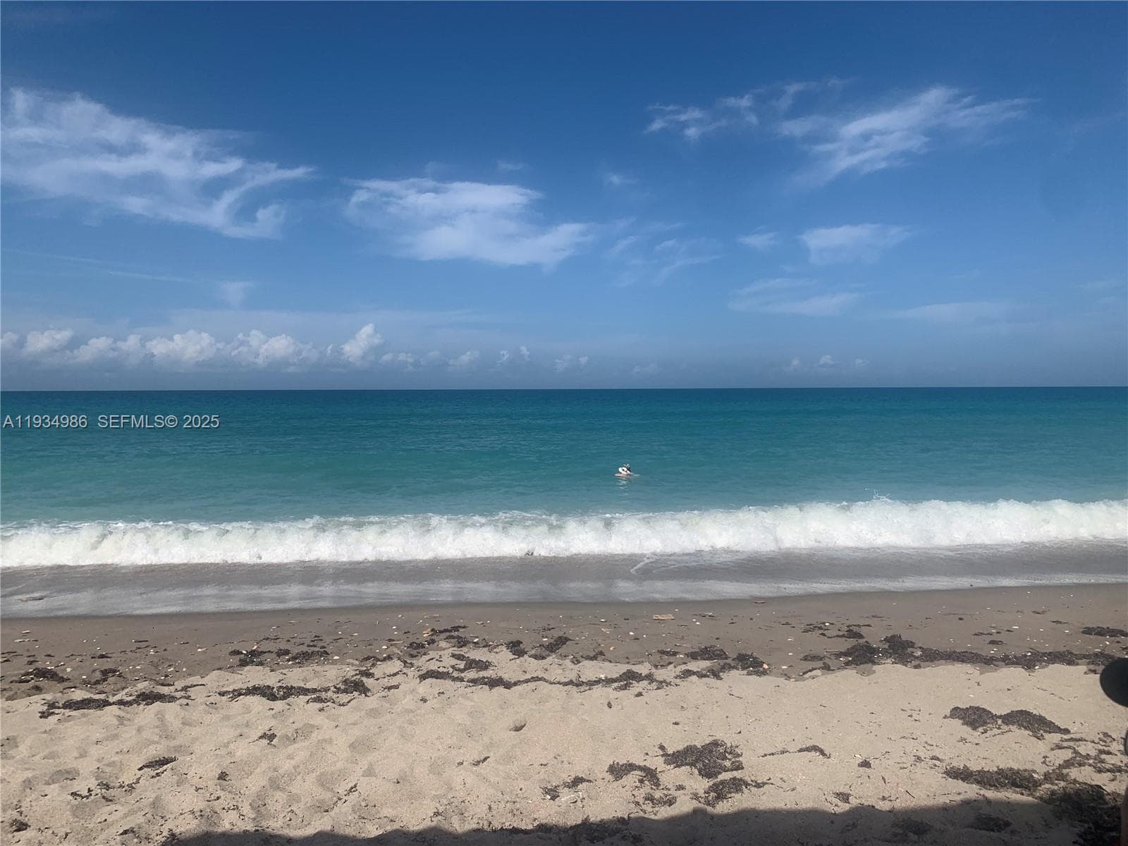 7370 S Ocean Dr 715 photo 1
