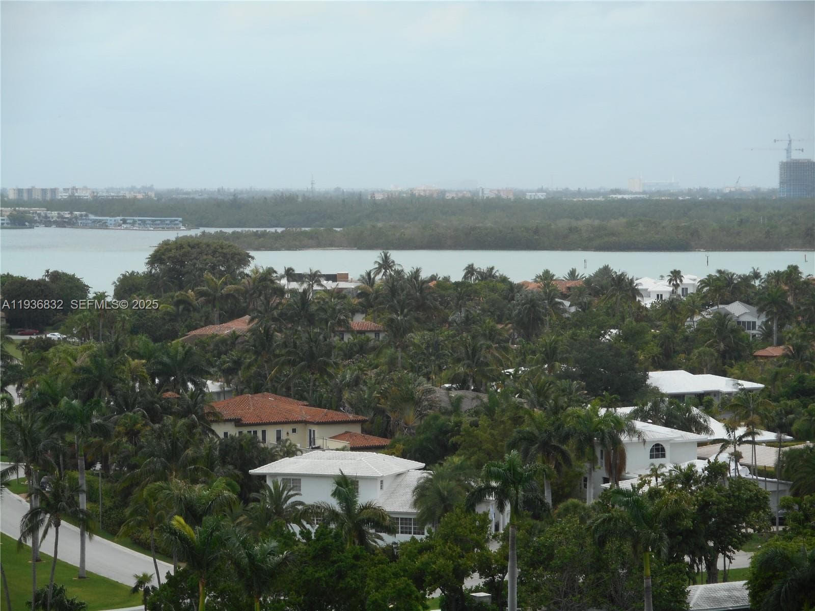 10185 Collins Ave 1204 photo 7