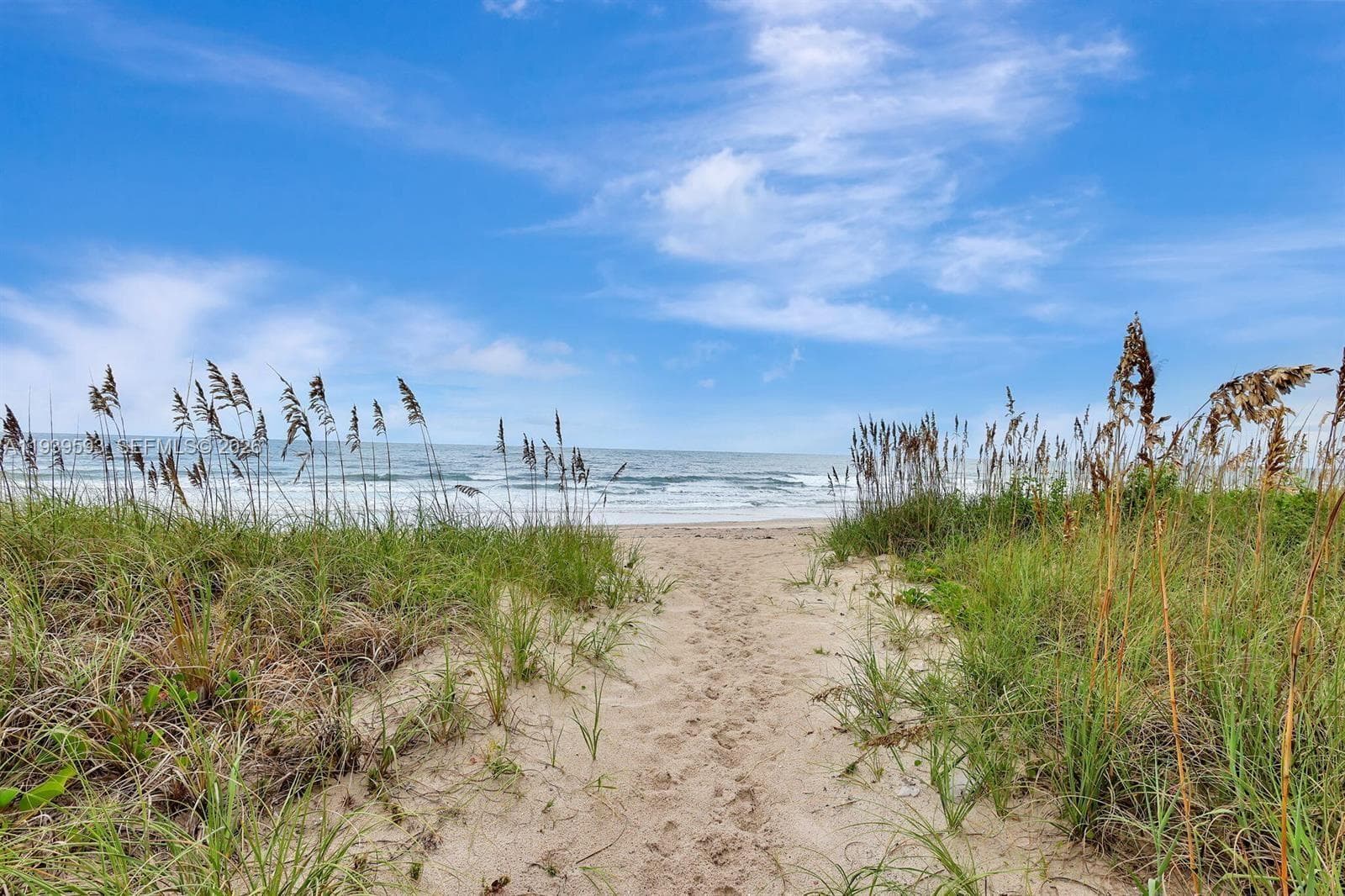 2800 N Highway A1a 607 photo 17