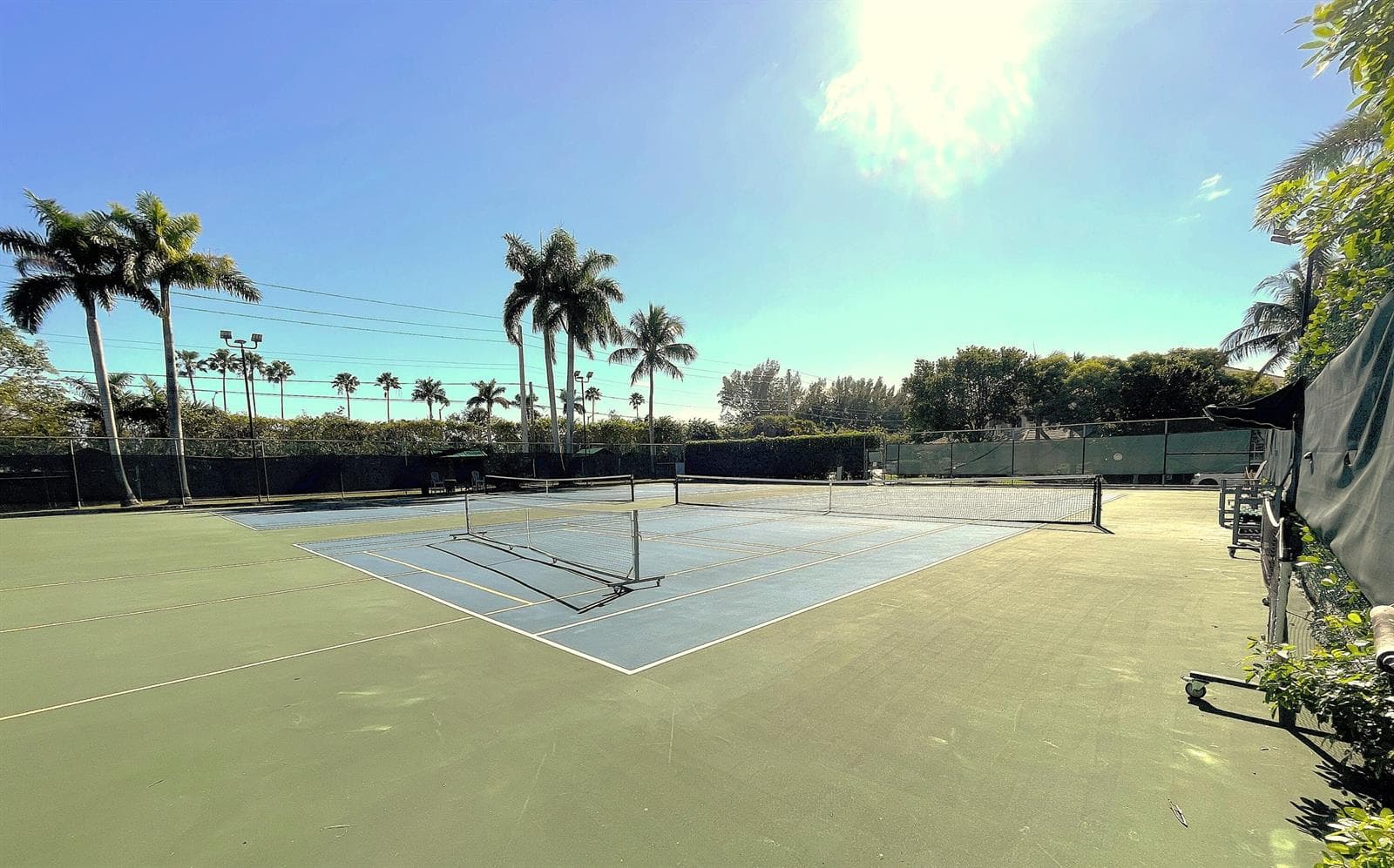 3 Royal Palm Way 2050 photo 23