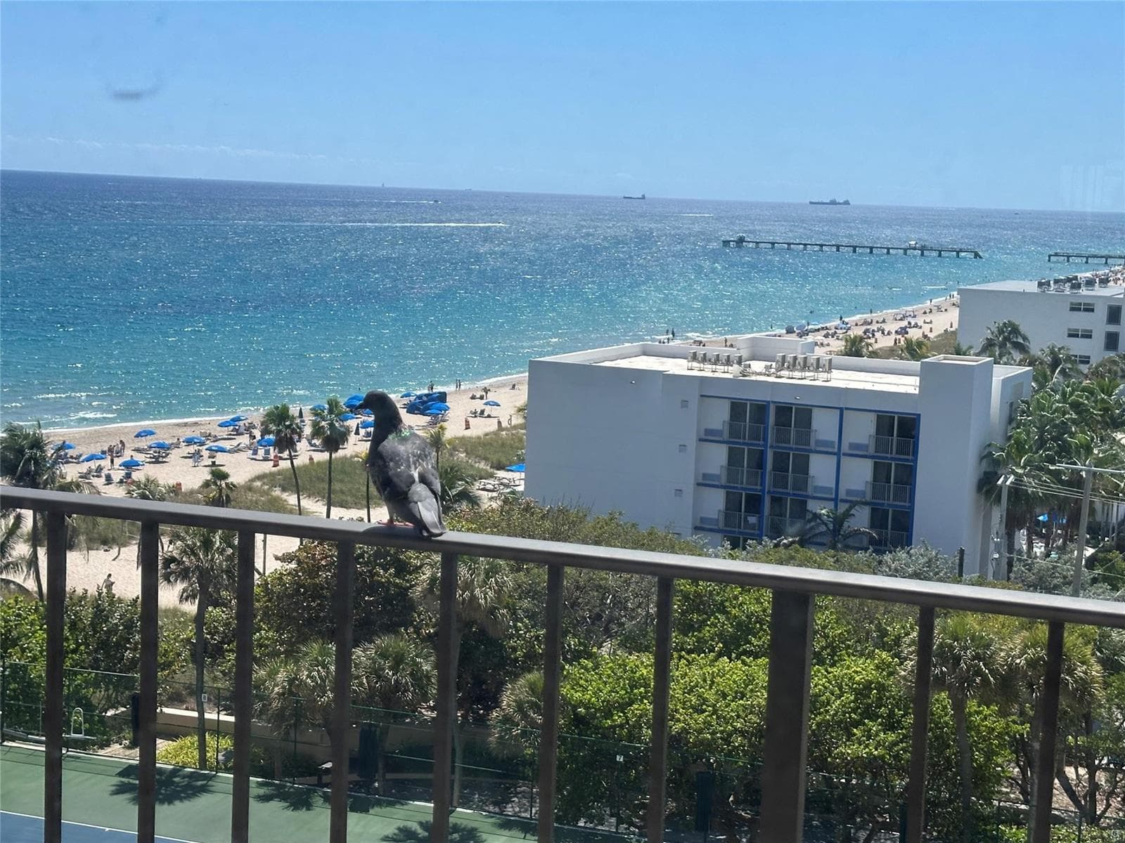4900 N Ocean Boulevard 1003 photo 1