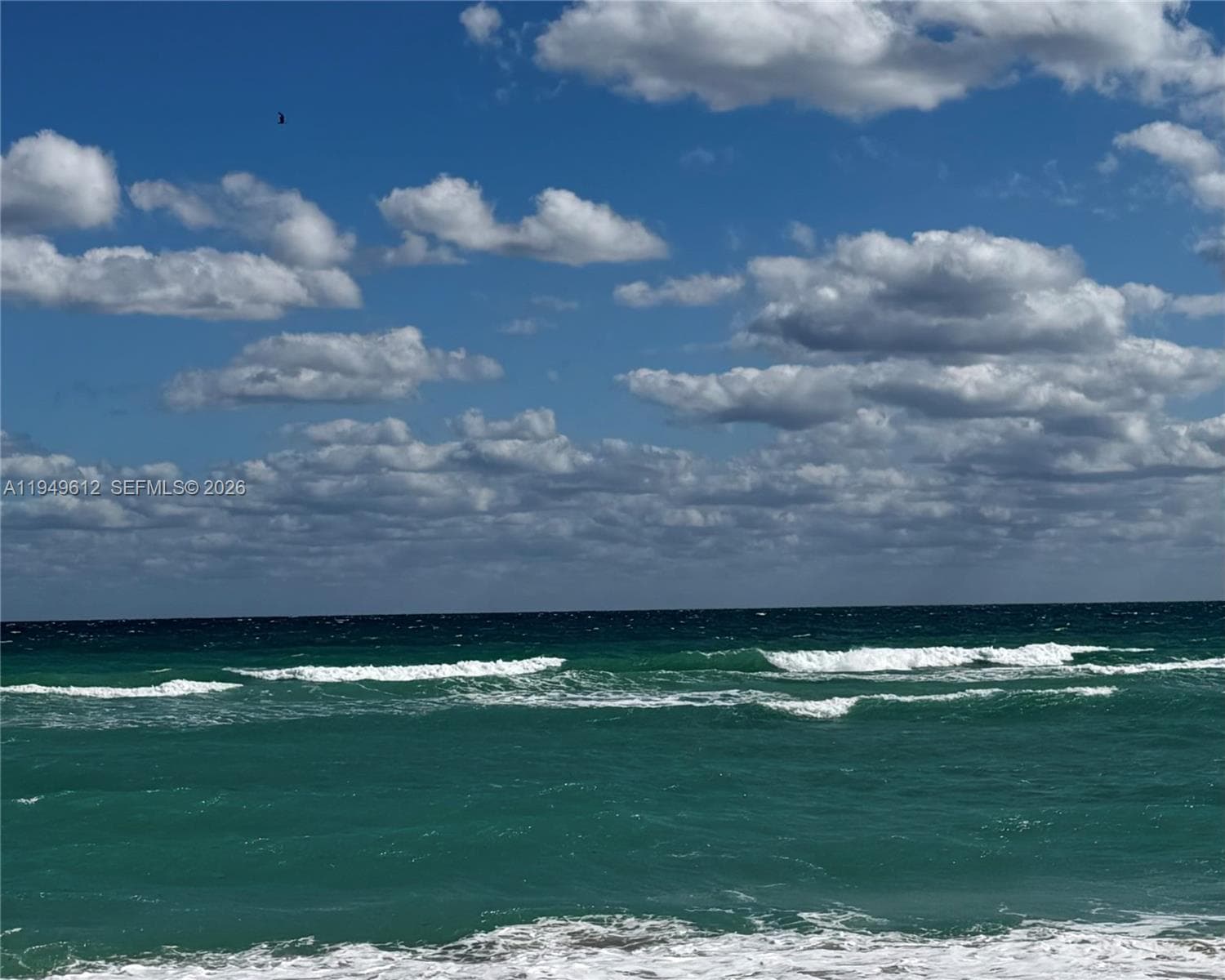 3505 Ocean Dr 311 photo 5