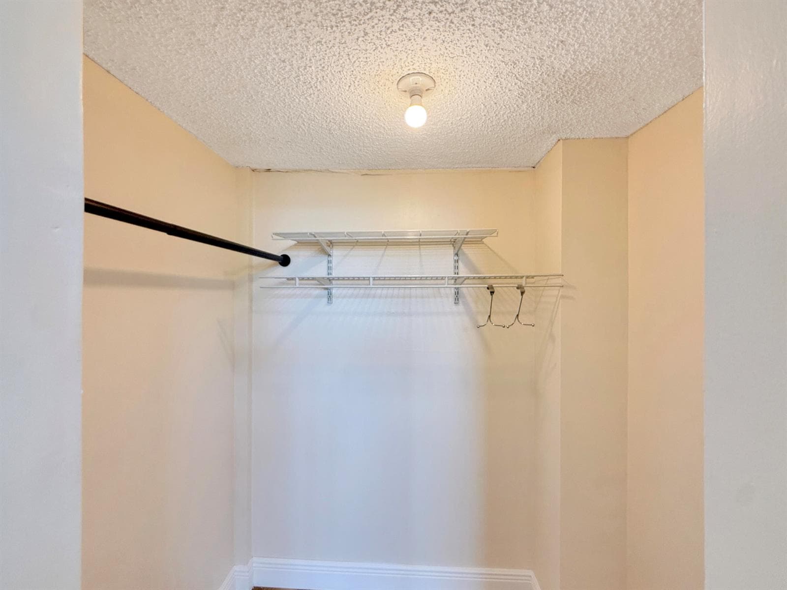 113 Royal Park Drive 2c photo 13
