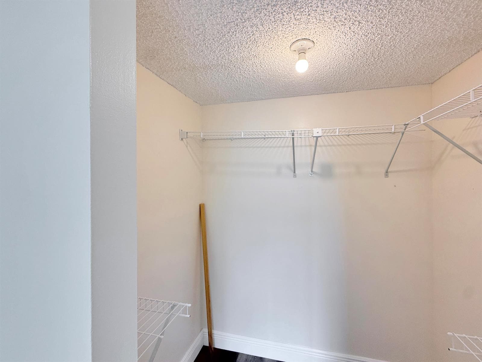 113 Royal Park Drive 2c photo 14