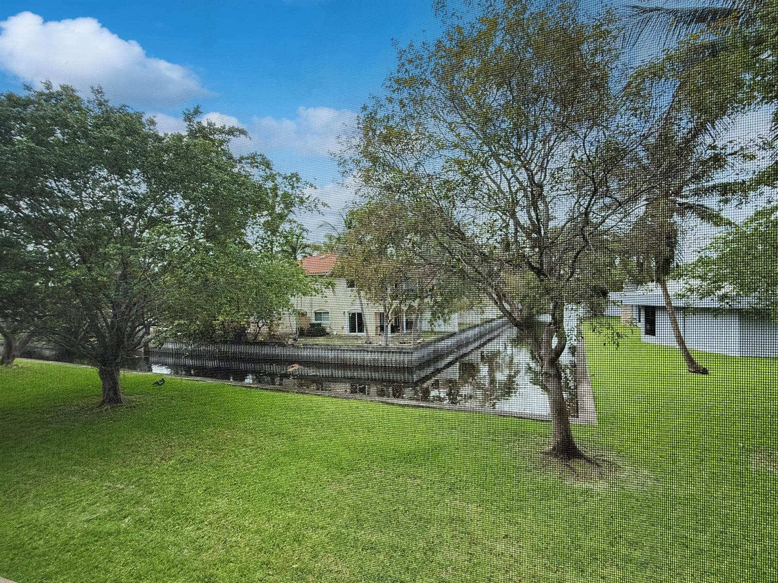 113 Royal Park Drive 2c photo 11