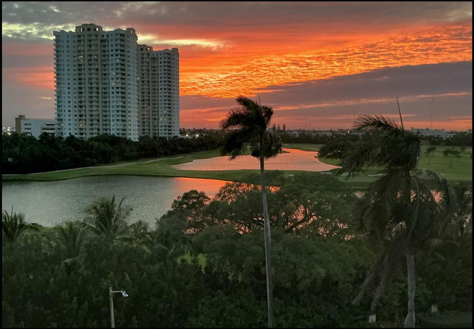 300 Diplomat Parkway 705 photo 1