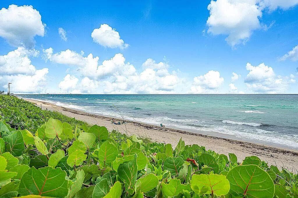 3200 S Ocean Boulevard C303 photo 24