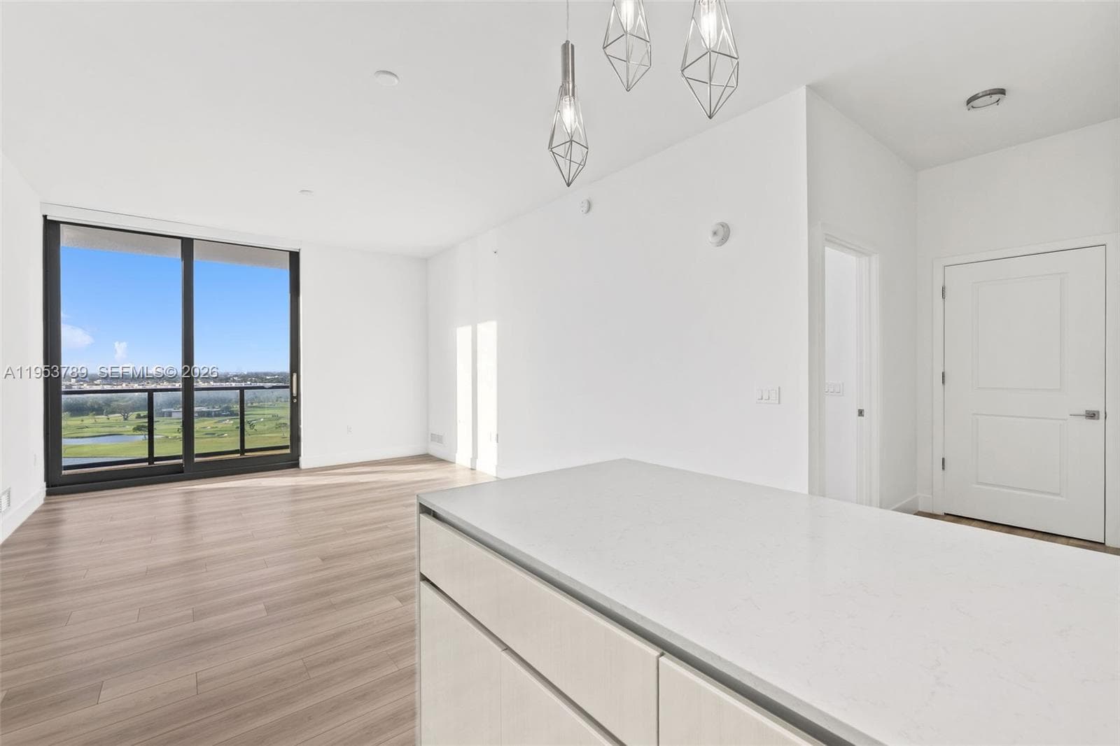 101 Diplomat Pkwy 1703 photo 3