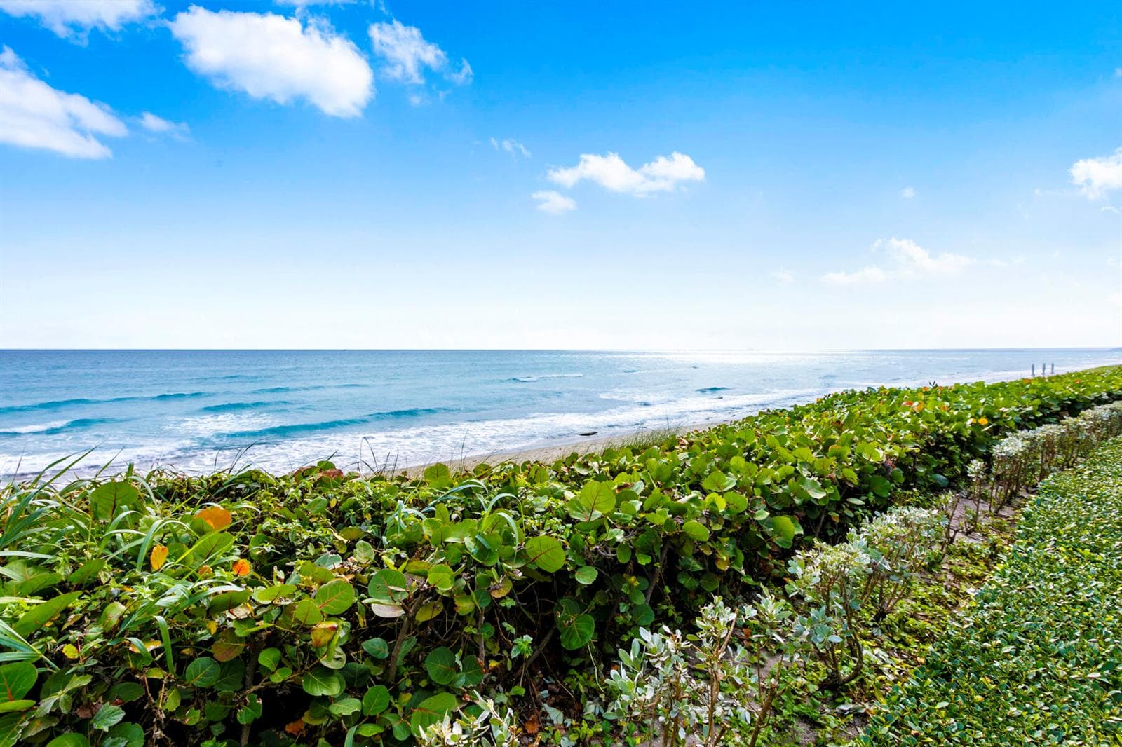 3400 S Ocean Boulevard 1ci photo 18
