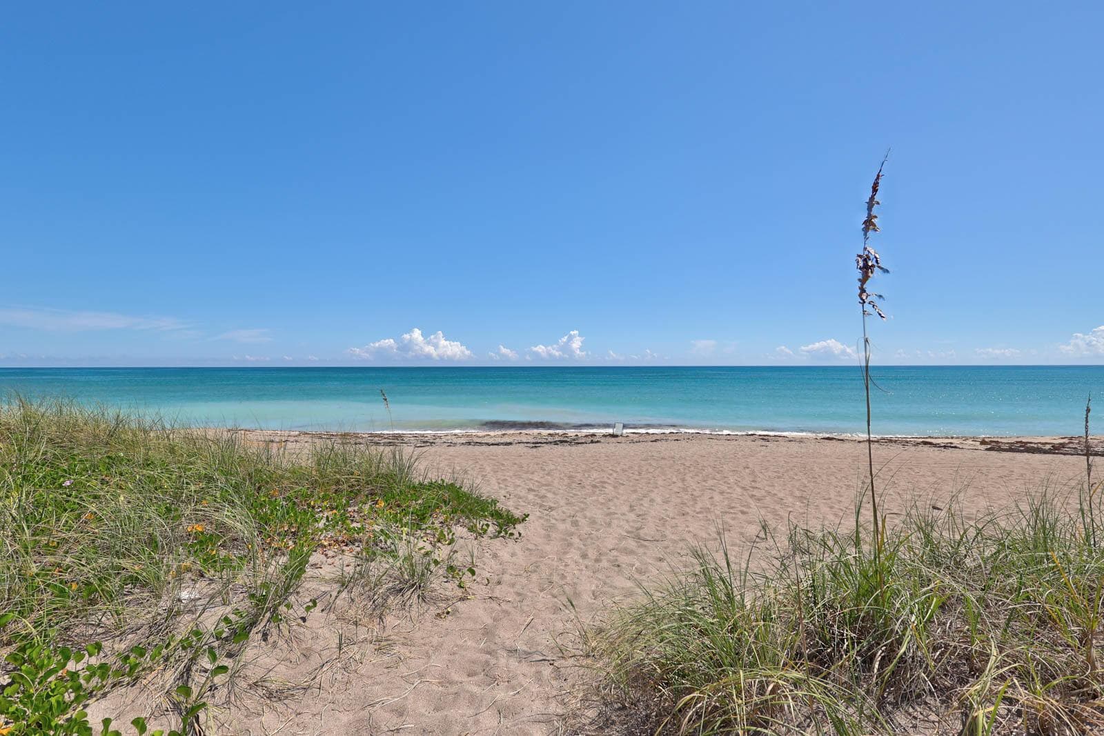 1002 Mariner Bay Boulevard 1002 photo 7