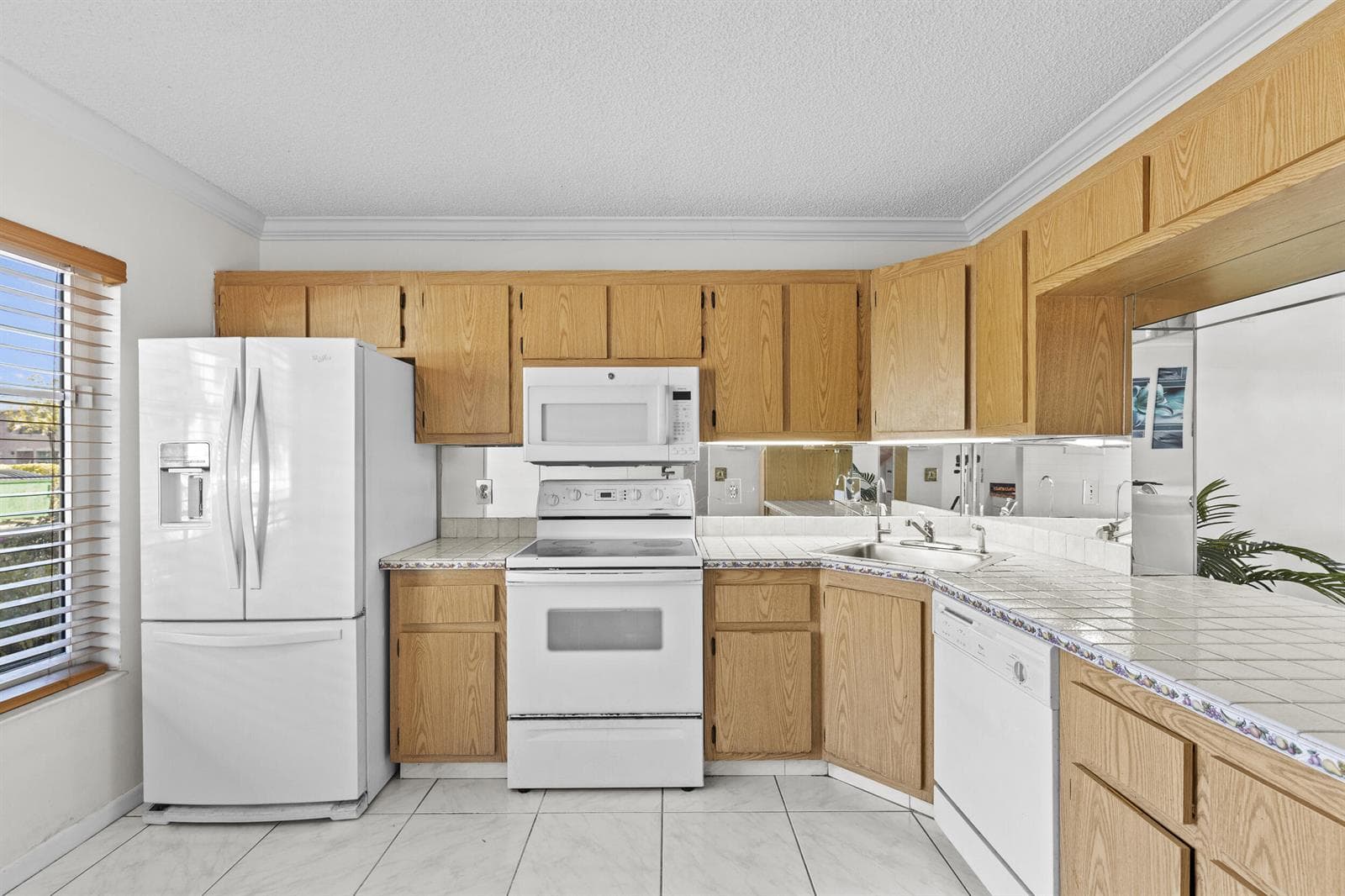 218 Foxtail Drive B photo 4