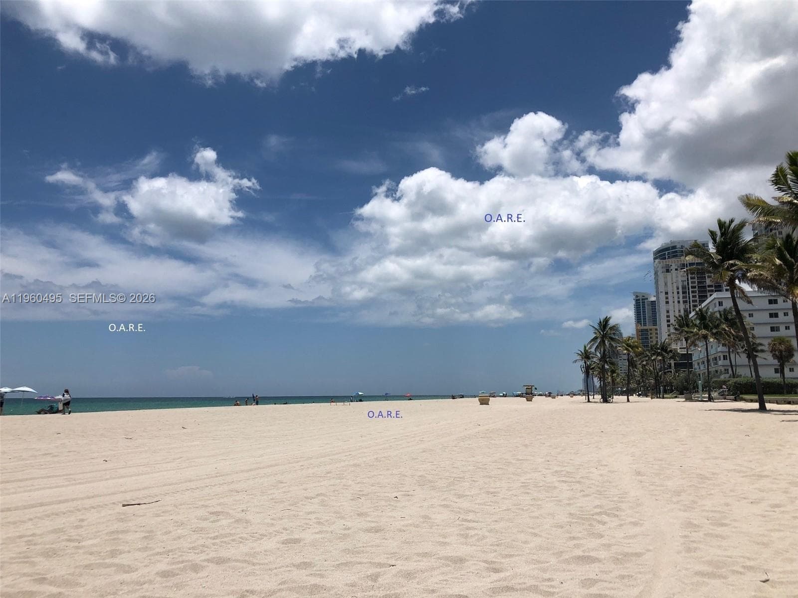 3901 Ocean Dr 2J photo 17