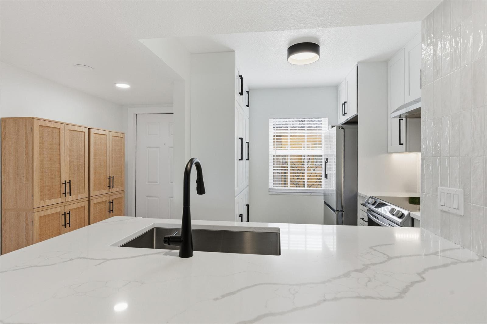 1155 Lake Shore Drive 202 photo 11