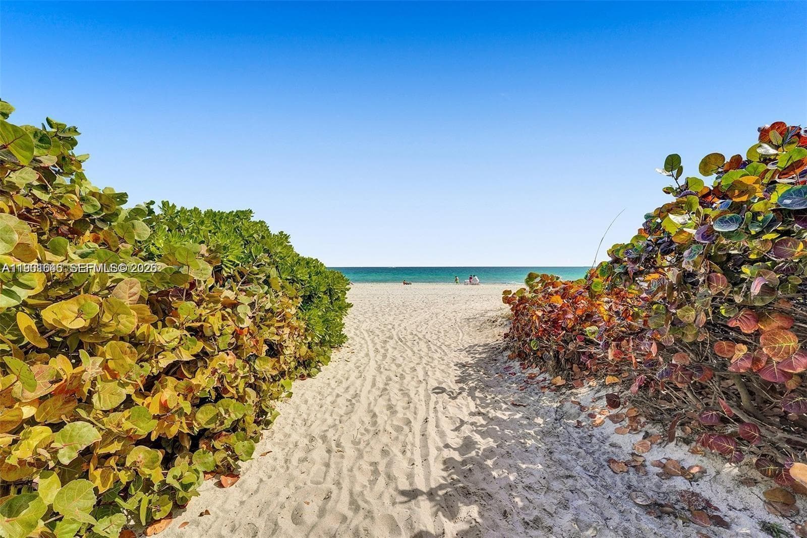 9195 Collins Ave 309 photo 17