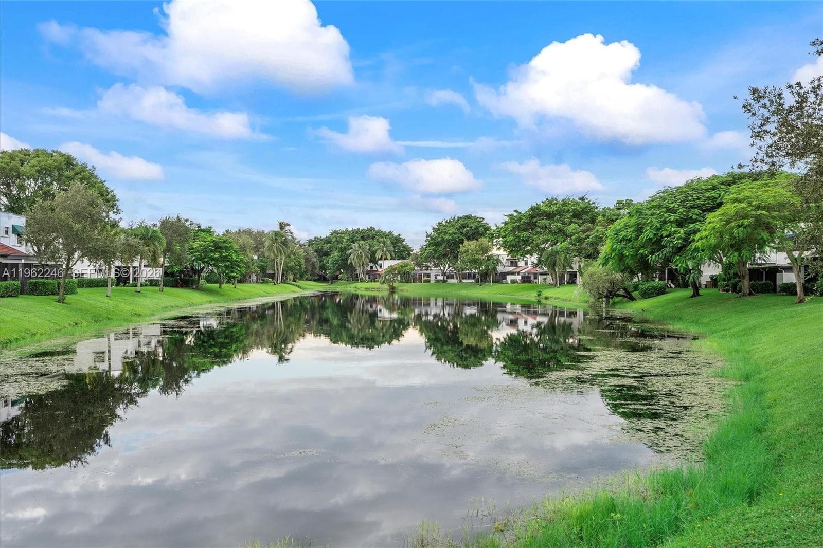 385 36th Ave photo 24