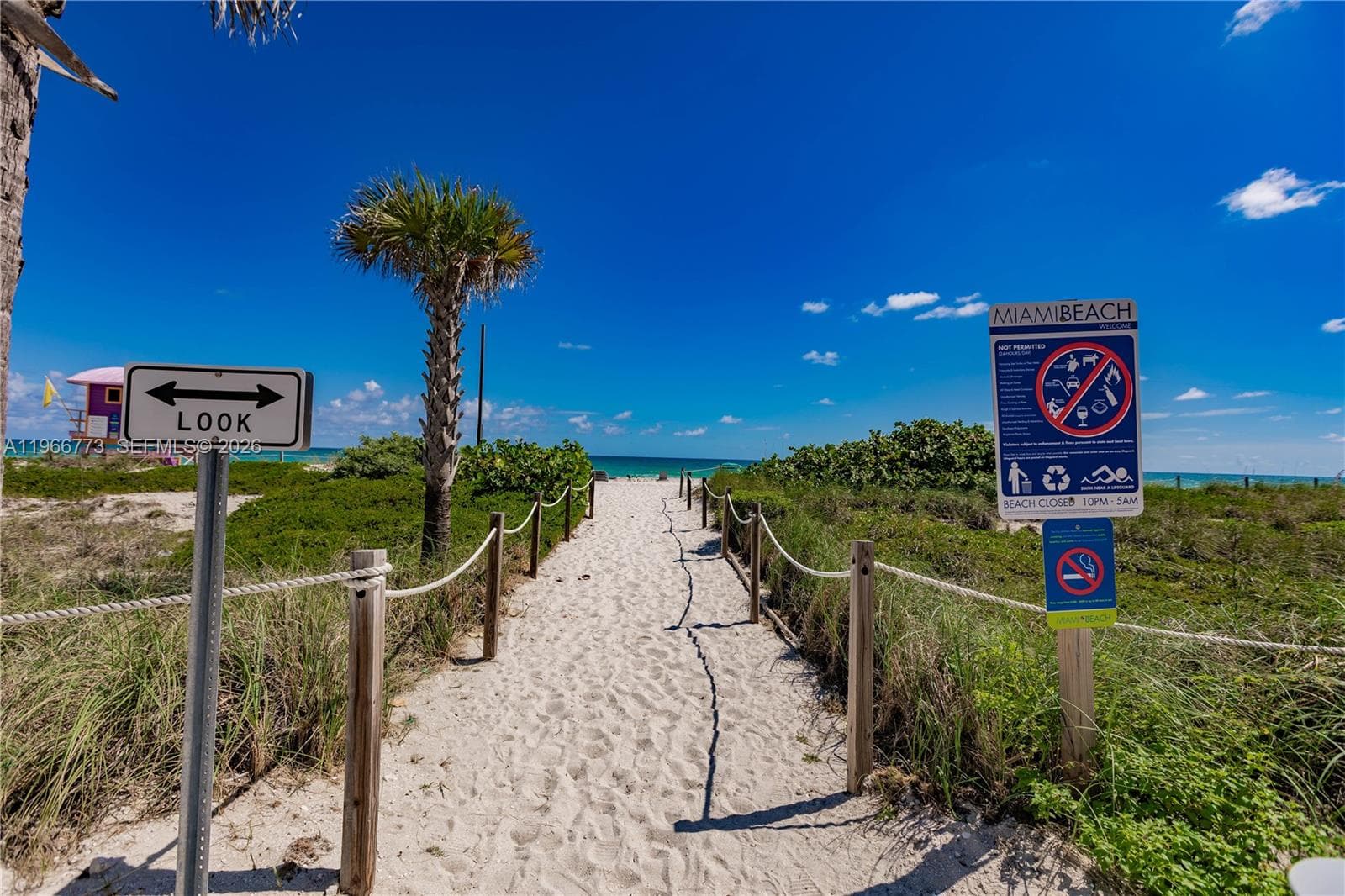 5001 Collins Ave 1K photo 22