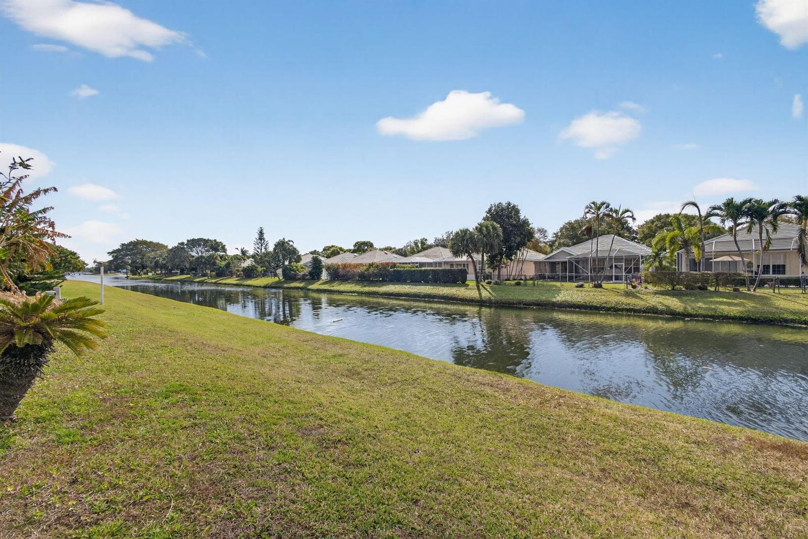 3646 Cypress Street photo 3