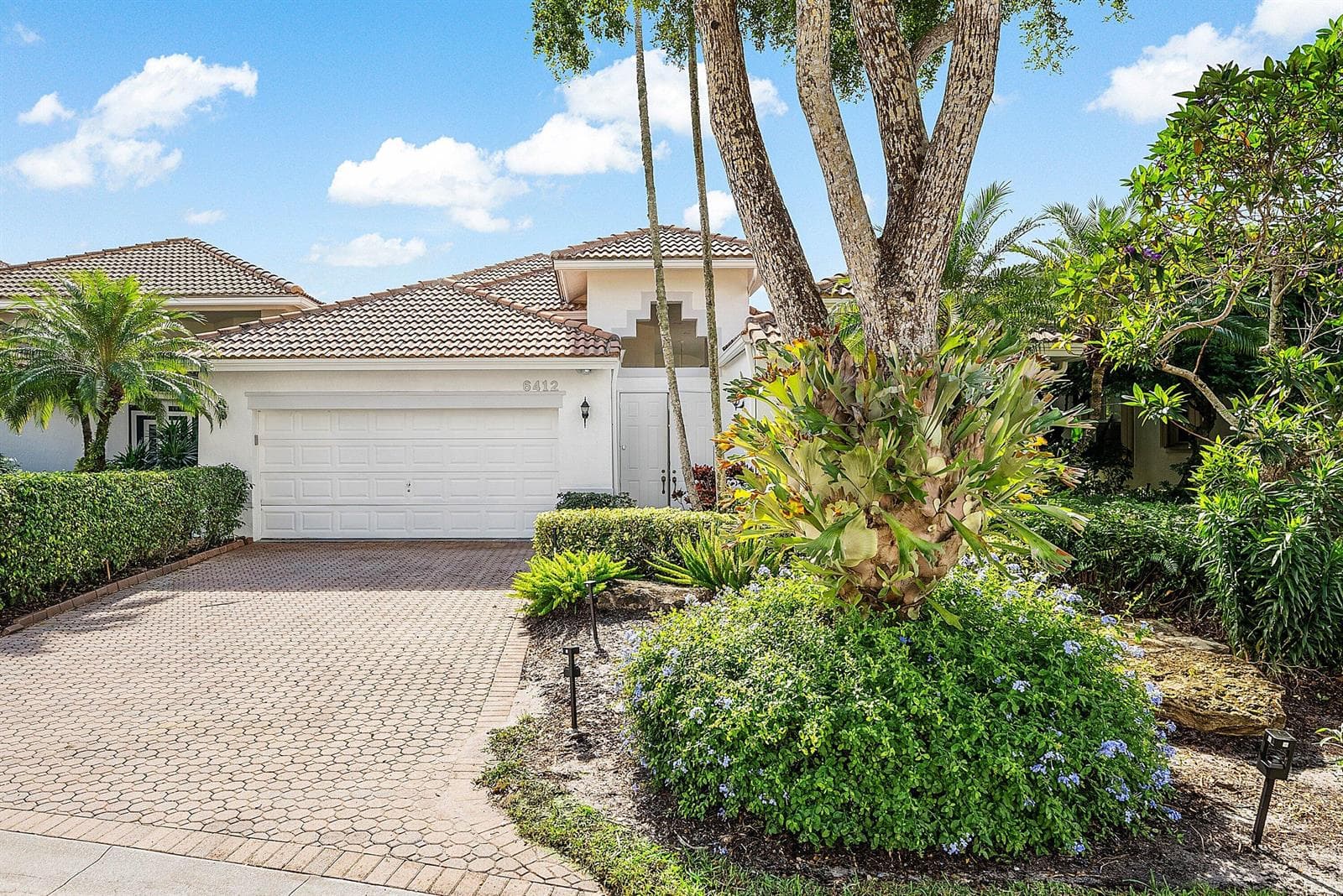 6412 San Michel Way photo 1