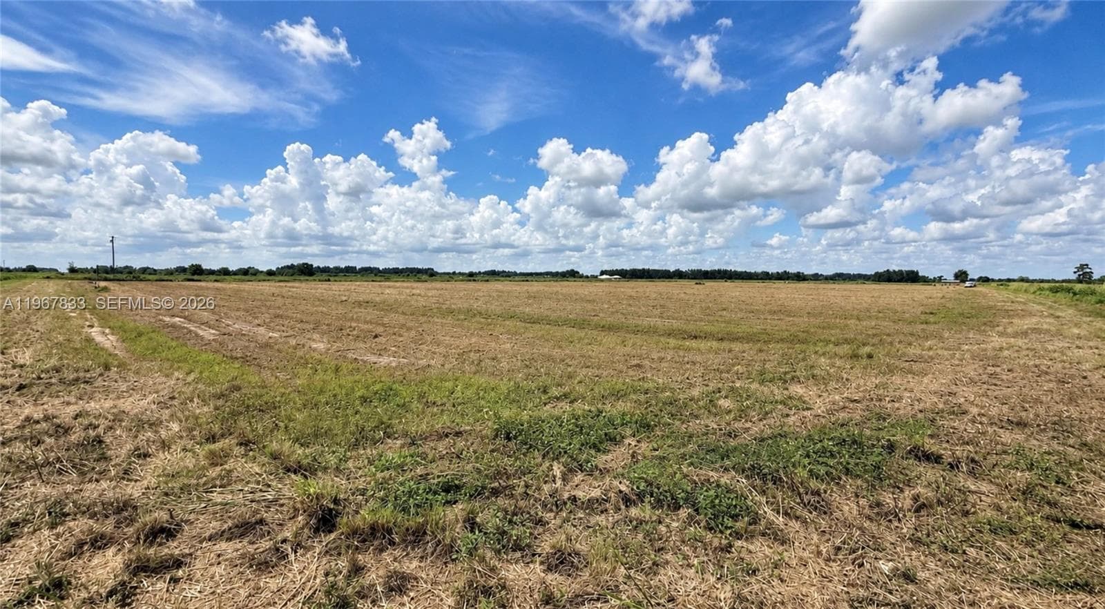 595 N HEADER CANAL ROAD 0 photo 16