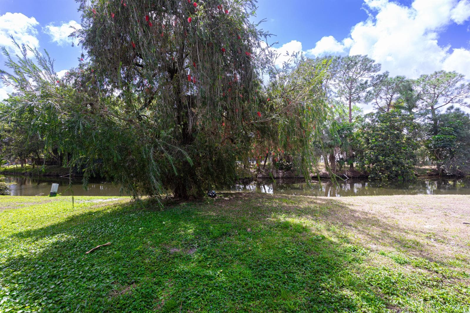 202 Sparrow Drive 1 photo 24