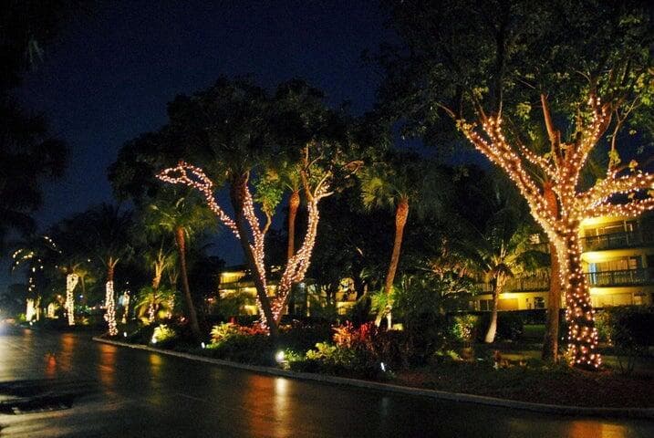6 Royal Palm Way 310 photo 23