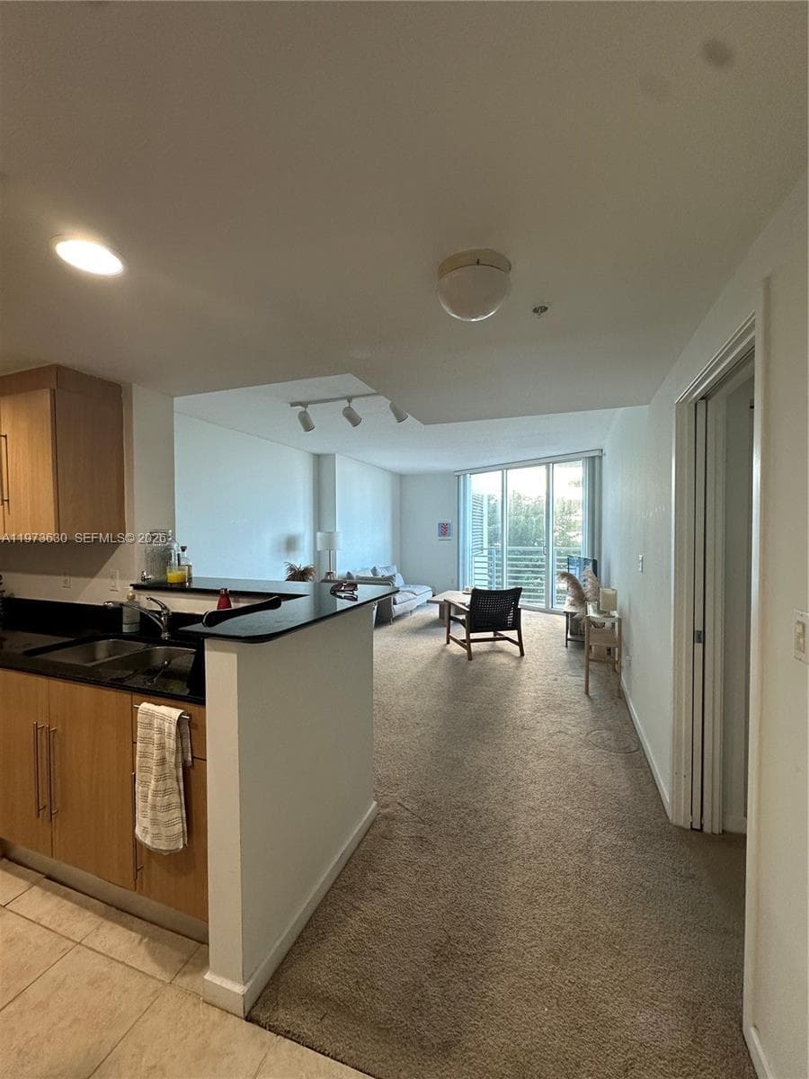 335 S Biscayne Blvd 1002 photo 7