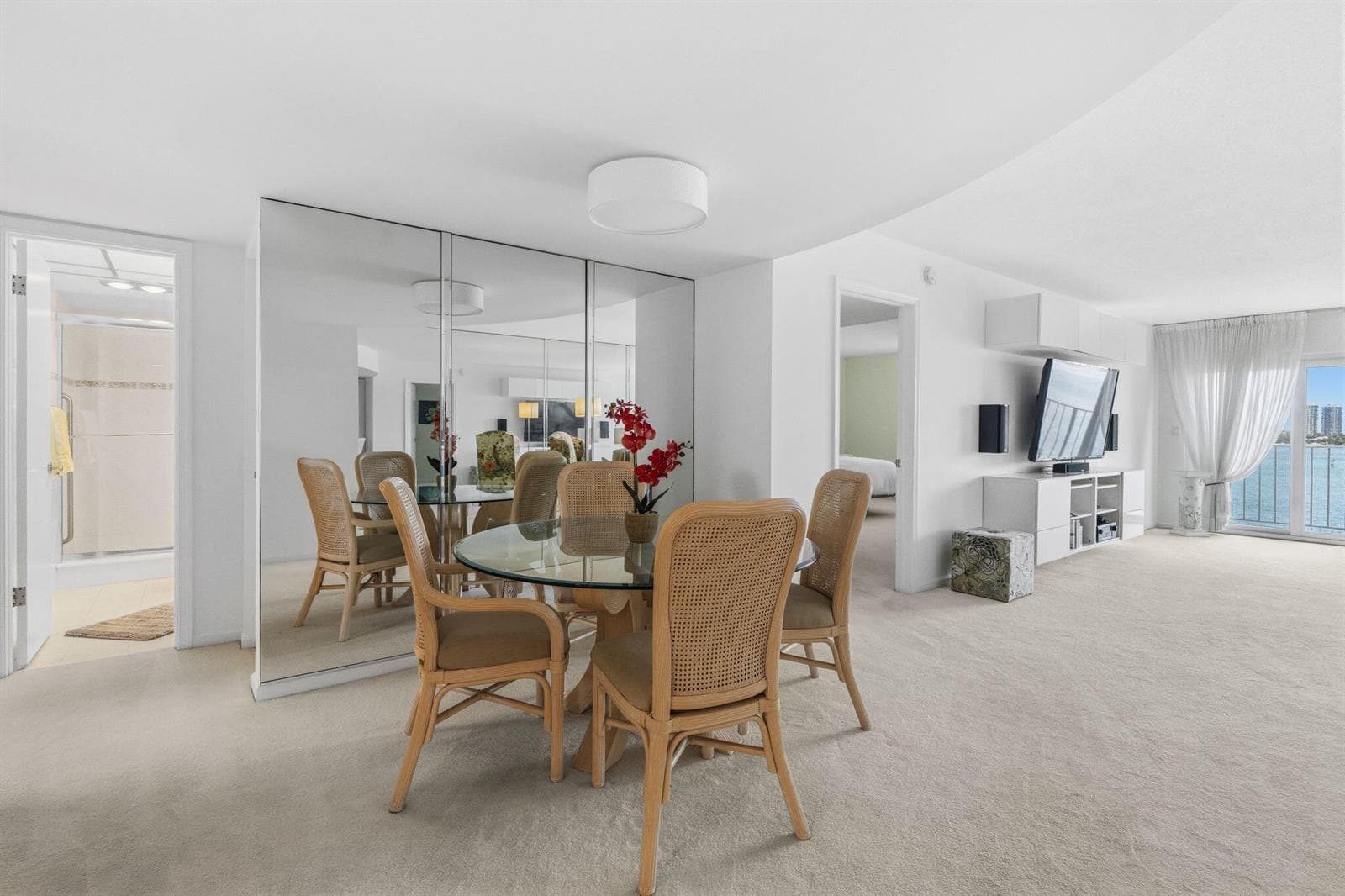 801 Lake Shore Drive 607 photo 15