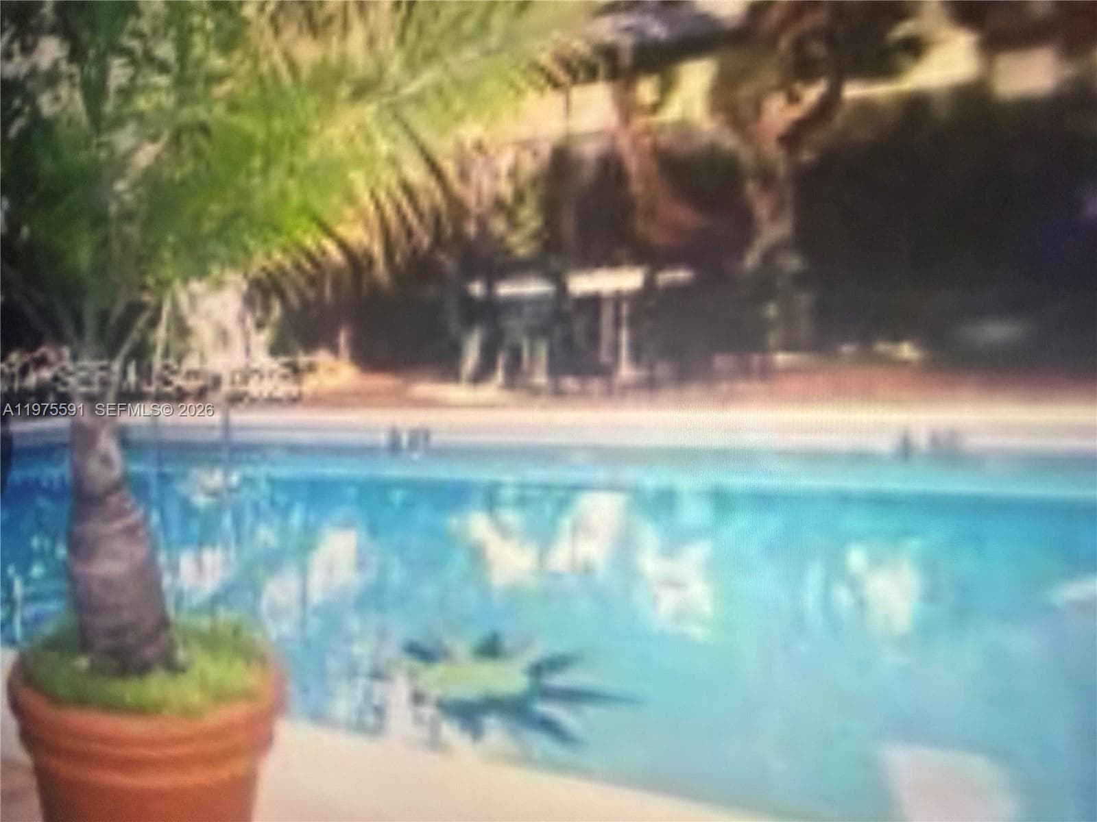 1390 Ocean Dr 304 photo 4