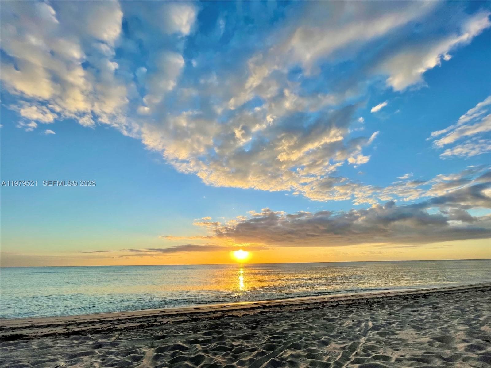 6899 Collins Ave 2403 photo 22