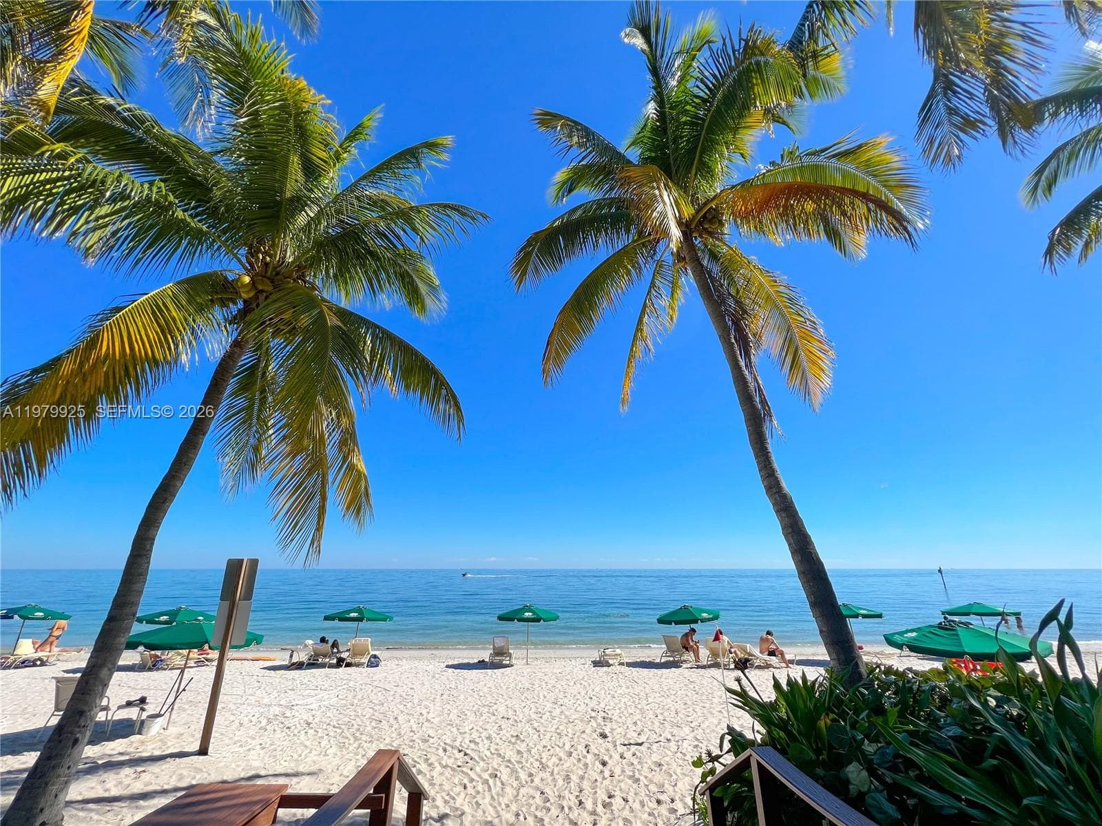 781 Crandon Blvd 804 photo 4