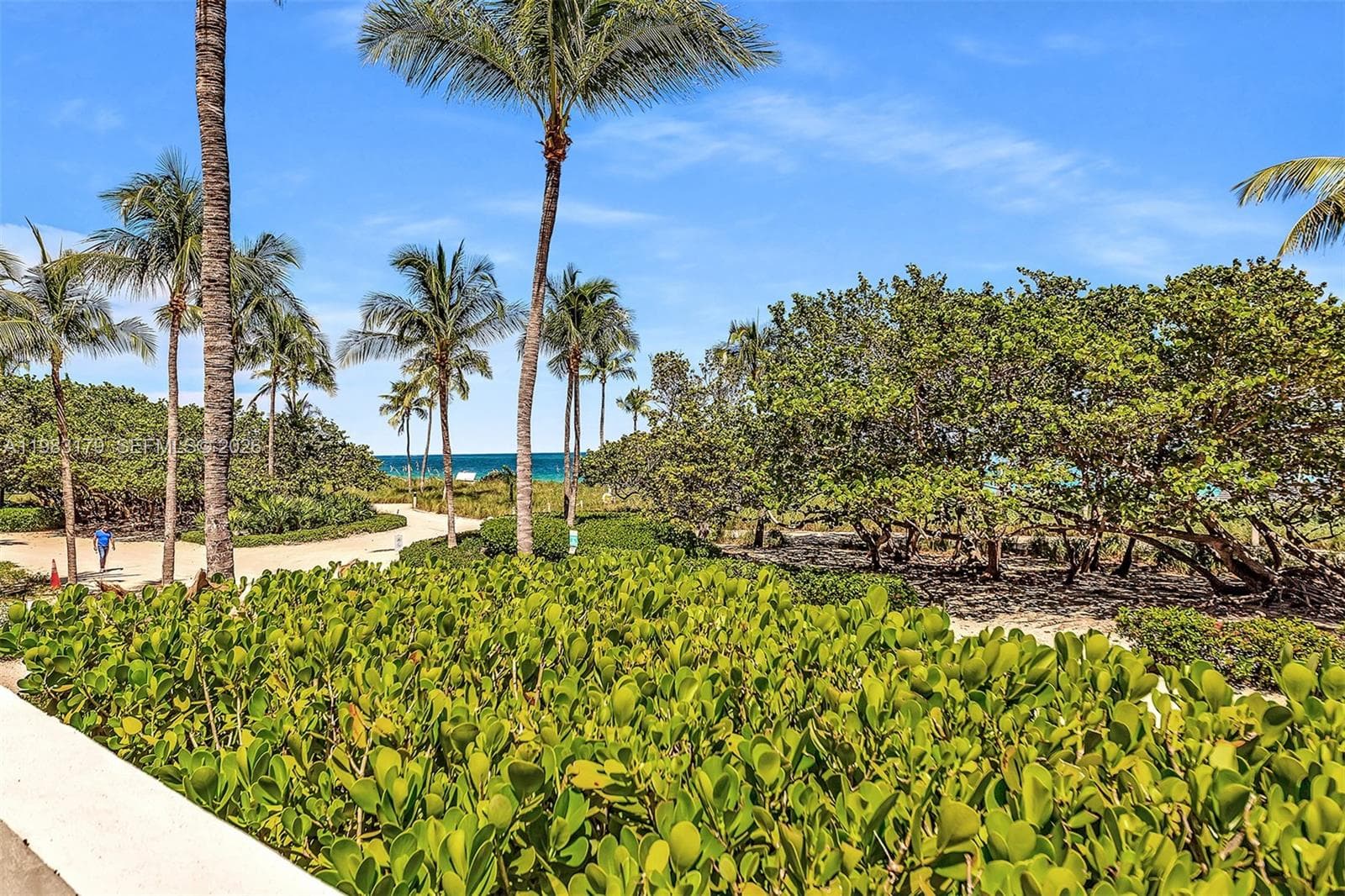 10185 Collins Ave 606 photo 10