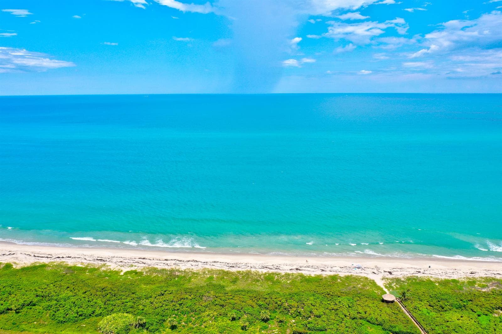 5059 N Hwy A1a 701 photo 25